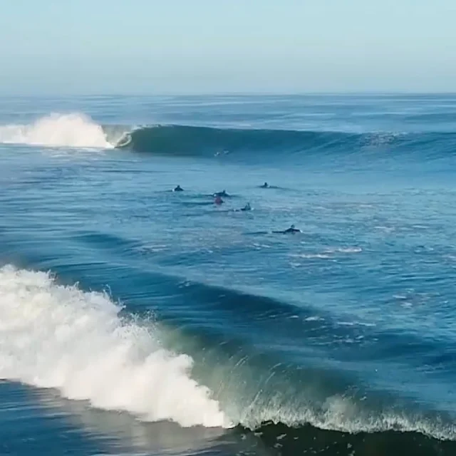 @brettbarley Skeleton Bay
on Superbrand surfboards. 

www.manlysurfboards.com.au
#manly #manlybeach #fun
#manlysurfboards #winter

Posted @withregram • @tracksmag “Hahaha oh my gosh” @brettbarley stoked out 💀

🎥 @bxtreme3d